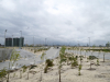 Completed roads and landscaping in Eko Atlantic
