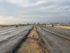 Road Construction - Avenue 1