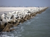 Great Wall of Lagos at 2 kilometres
