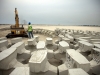 A field of building blocks